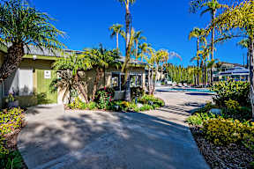 A sunny day at a tropical residential area with a clear blue sky.