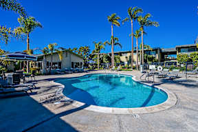 A swimming pool surrounded by palm trees and lounge chairs.