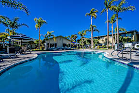 A swimming pool surrounded by palm trees and lounge chairs.