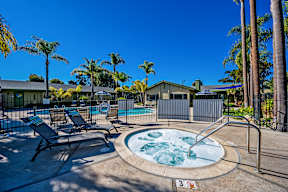 A hot tub sits in the middle of a pool surrounded by palm trees.