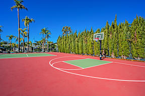 A basketball court with a hoop and a green court surrounded by trees.