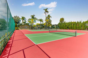 Two tennis courts with palm trees in the background on a sunny day.