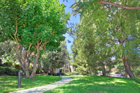 Paved Outdoor Path Along Apartment Complex Surrounded By Manicured Grass and Trees at Alta Vista, Escondido, CA