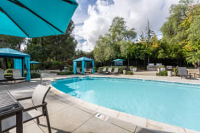 a swimming pool with chairs and umbrellas and trees at Alta Vista, Escondido, 92026
