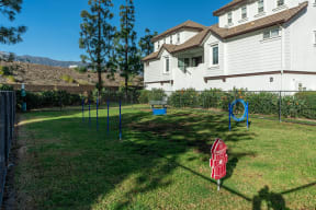 Gated Dog Park With Manicured Grass, Agility Course, Bench, And Waste Area. at Barrington Place, California