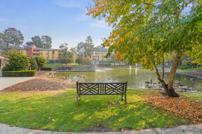 Apartments For Rent In Mountain View, CA - Americana Apartments - Community Pond With A Bench, Tree, Maintained Landscaping, And Apartment Buildings In The Background