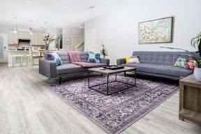 Living Room with Wood-Style Flooring, Purple Rug, and Two Sofas at Mihir Taylor, Taylor, TX