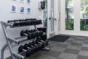 A set of dumbbells is on a rack in a room at Missions at Chino Hills Apartments, Chino Hills, CA, 91709