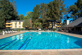 Mountain View, CA, Apartments - Americana - Sparkling Pool with Lounge Seating and Apartment Building in the Background