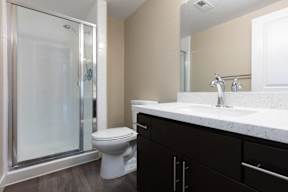 Palo Alto, CA Apartments - Tan Plaza - Bathroom with Wood-Style Flooring, Large Vanity Mirror, Dark Wood-Style Flat-Panel Cabinetry, and Walk-In Shower.