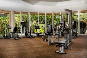 A gym with a variety of equipment including treadmills, stationary bikes, and weight machines.