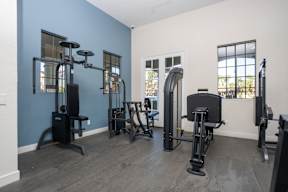 A home gym with a variety of equipment including a squat rack, bench press, and a rowing machine.