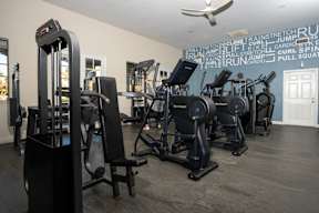 A gym with a variety of equipment including a weight machine, a squat rack, and a treadmill.