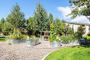 Community garden with metal planters and sunflowers at Mullan Reserve Apartments, Missoula, MT 59808