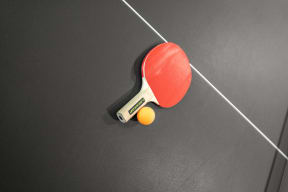a ping pong paddle and ball on a tennis court at Mill Pond Apartments, Washington