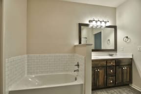 a bathroom with a tub and a sink and a mirror