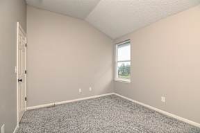 A room with a carpeted floor, a door, and a window.