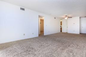 A room with a carpeted floor and a ceiling fan.