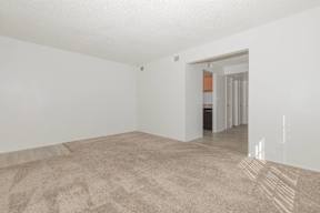 A room with a carpeted floor and a doorway leading to another room.