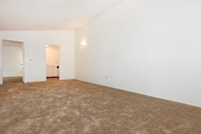 A room with a carpeted floor and white walls.