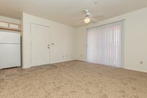 A room with a carpeted floor, a ceiling fan, and a window with blinds.