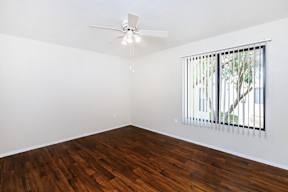 A room with a ceiling fan and a window with a view of a tree.