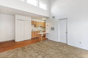 A room with a brown rug and a kitchen area in the background.