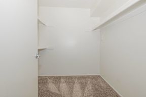 A room with a carpeted floor and white walls.