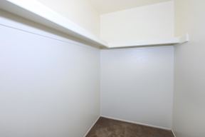 A white room with a brown carpet.