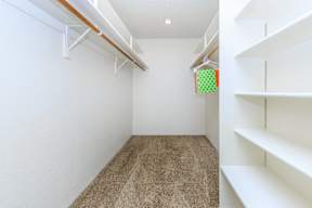 A white room with a carpeted floor and white shelves on the wall.