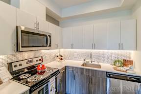 A kitchen with a stove, microwave, and dishwasher.