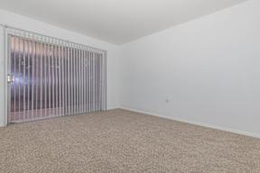 A room with a carpeted floor and a sliding door.