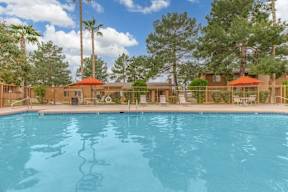 A large swimming pool surrounded by a wooden fence and trees.