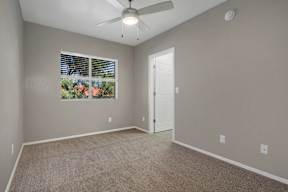 A room with a ceiling fan and a window with blinds.