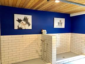 A bathroom with blue walls and a white tiled shower.