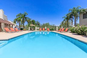 A swimming pool surrounded by orange lounge chairs and palm trees.