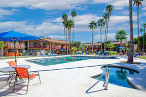 A pool surrounded by palm trees and chairs.