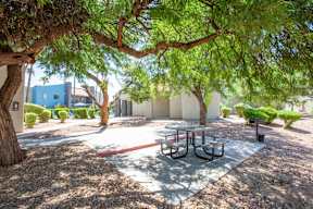 A picnic table is in the middle of a shaded area under a tree.