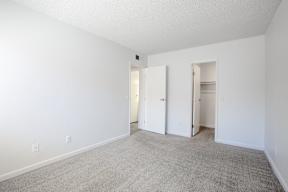 A room with carpeted floor and two open doors.