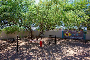 A tree in a yard with a sign that says Bark Park.