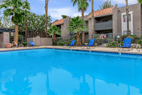 A swimming pool surrounded by palm trees and lounge chairs.