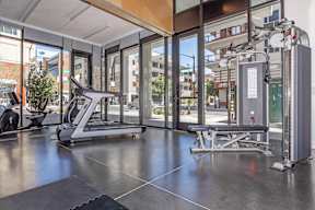 A gym with treadmills, exercise bikes and other equipment.
