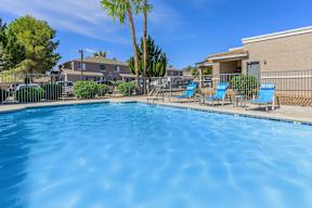 A swimming pool with blue water and a palm tree in the background.