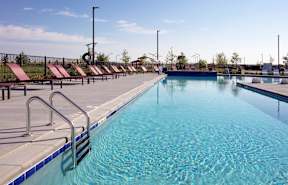 A long rectangular pool with a metal ladder on the side.