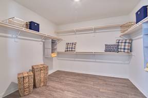 Maple at Starling Place Model Closet
