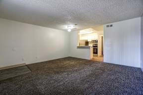 A room with a carpeted floor and a small kitchenette in the background.