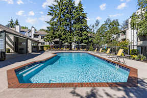 our apartments have a resort style pool with chairs and trees
