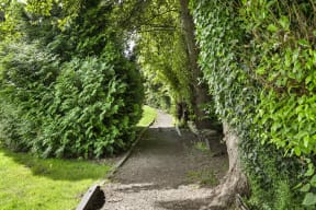 a path in a park with trees and bushes