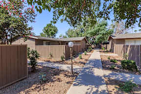 A sunny day in a residential area with houses and trees.