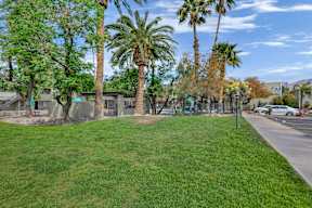 A grassy area with palm trees and a building in the background.